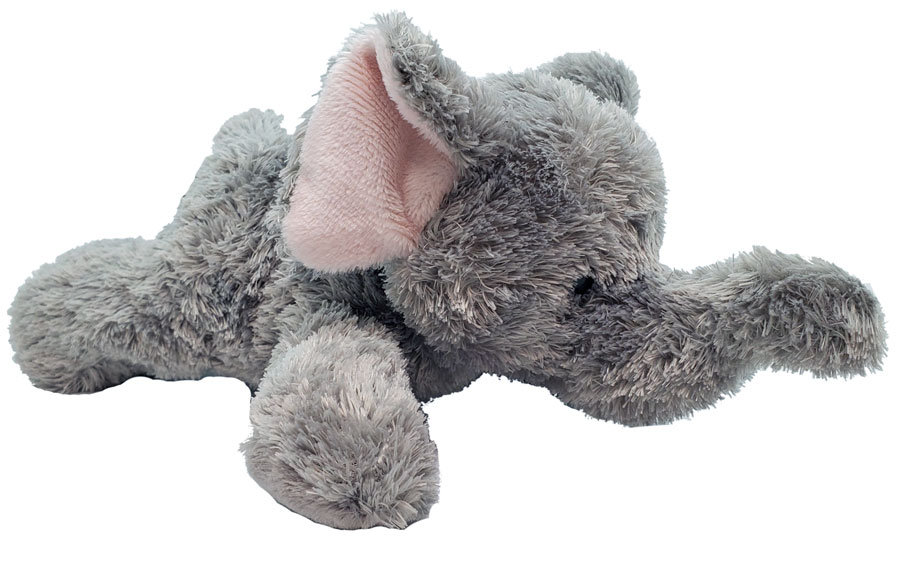 teddy bear in different colours