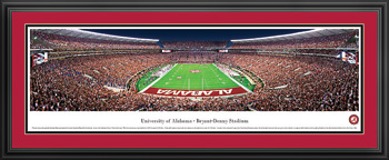 Endzone Stadium Panorama Print