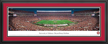 50 Yard Line Stadium Panorama Print